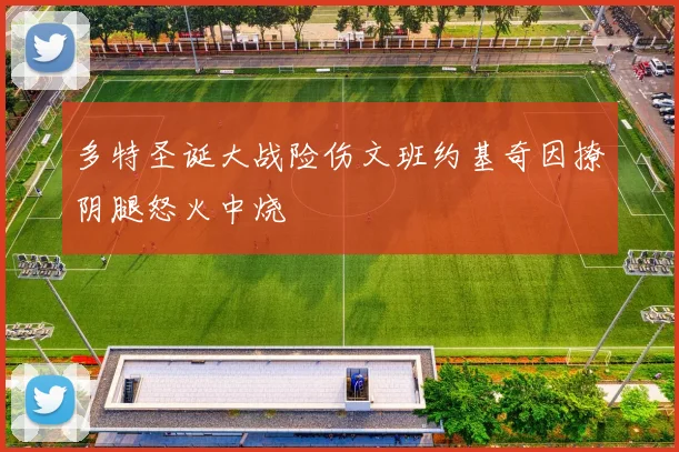 多特圣诞大战险伤文班约基奇因撩阴腿怒火中烧